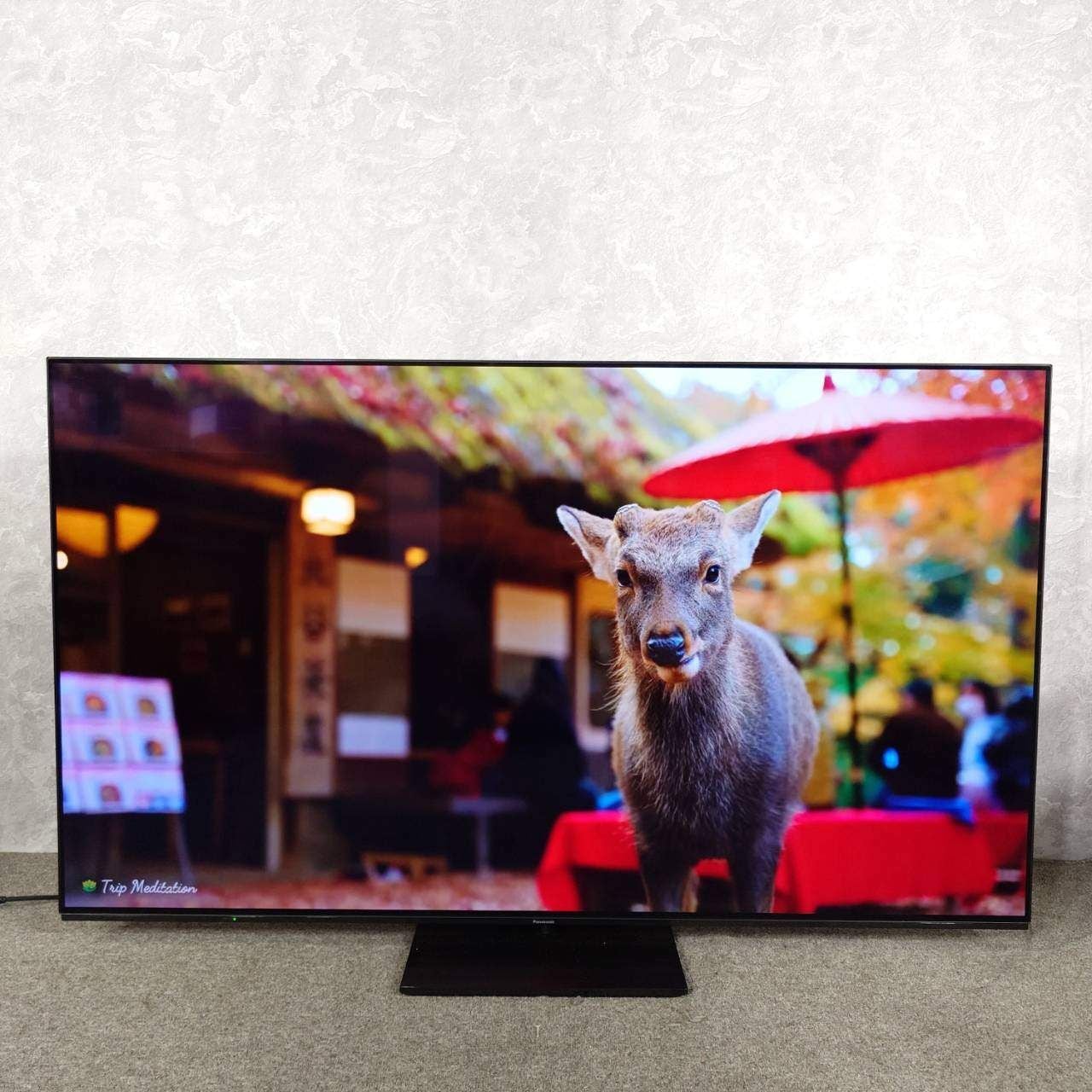 D 26627【2023年製】 Panasonic パナソニック VIERA 有機EL テレビ TH