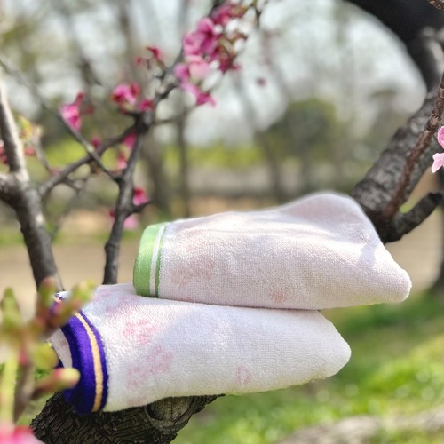 ＜桜のたより＞バスタオル