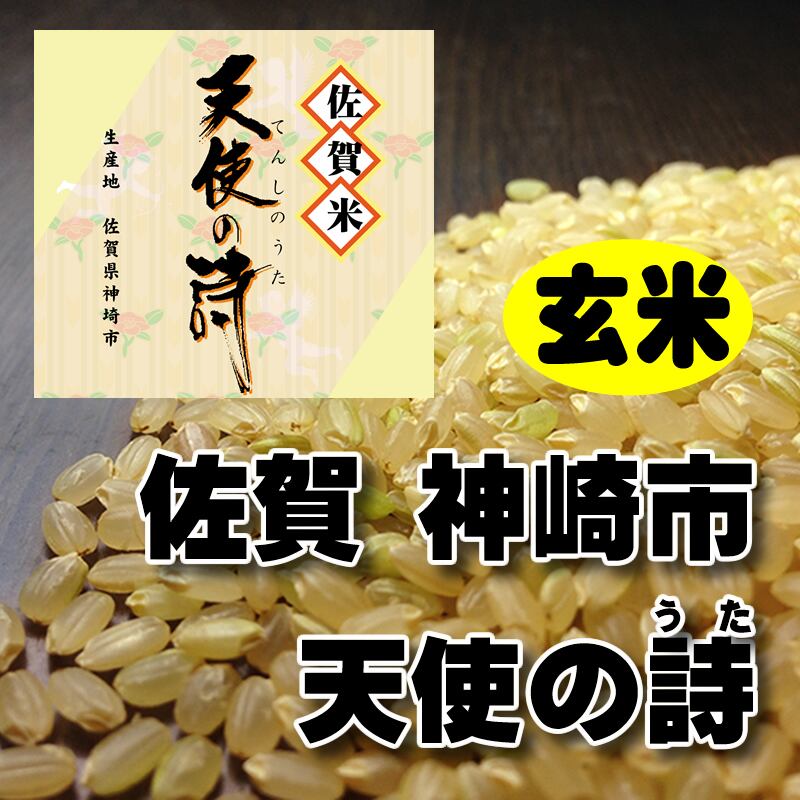玄米20キロ』令和7年産特別栽培米コシヒカリ（茨城県産） | PAY ID