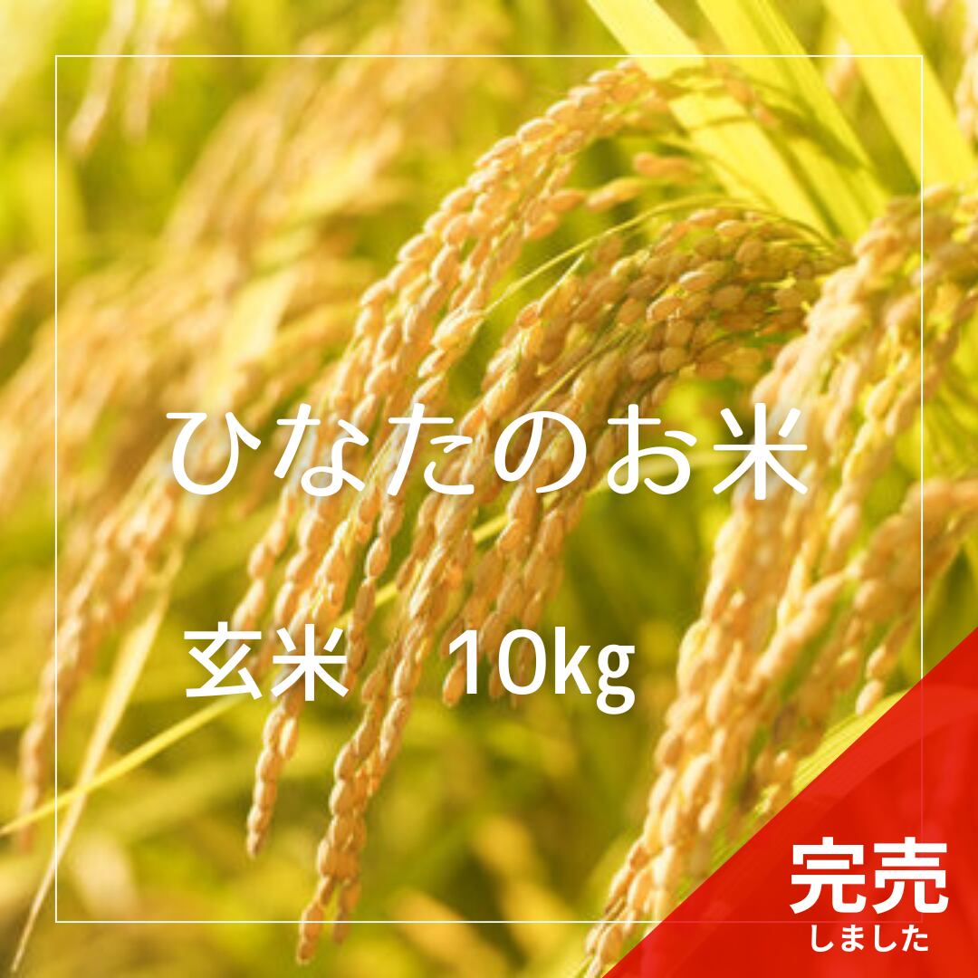 【応援価格】R7年産 ひなたのお米 玄米 10kg