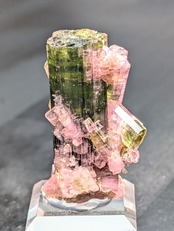トルマリンクラスター（エルバイト）  Cruzeiro Mine, Minas Gerais, Brazil　 AR73801026