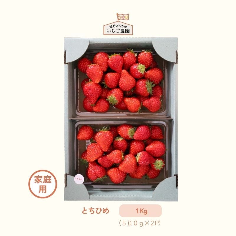 猪野さんちのいちご農園｜産直通販「あるよ」応援プロジェクト