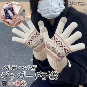 北欧風 ノルディック柄 ジャガード 手袋 レディース 秋冬 微起毛 グローブ おしゃれ 大人 かわいい きれいめ カジュアル 防寒 防風 保温 暖かい スマホ対応 タッチパネル対応 大人可愛い 大人女子