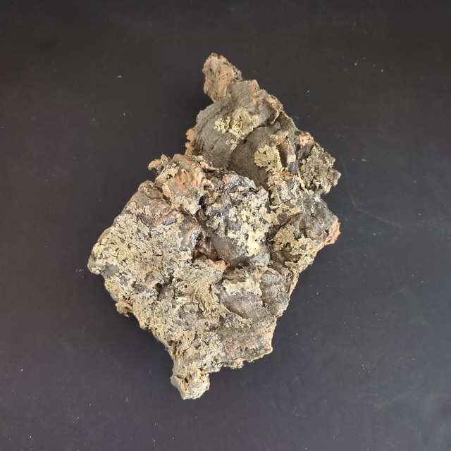 【規格外】コルク樹皮B（約11×21cm）