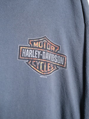 "HARKEY VIDSON" 360℃ print XXL over silhouette l/s tee
