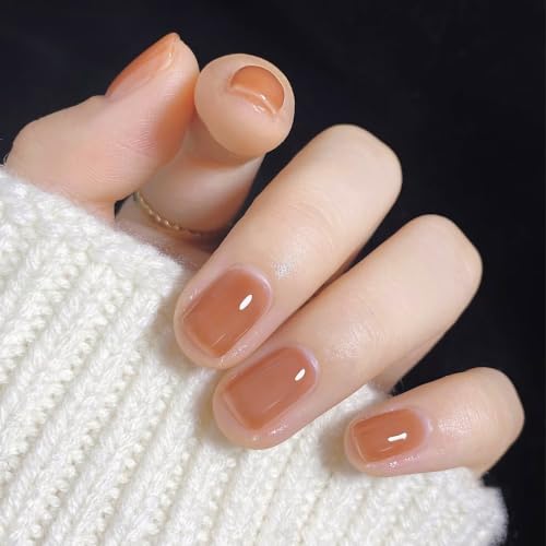 No.251 ブラウンオーカーのスタイリッシュニュアンス / ネイルチップ