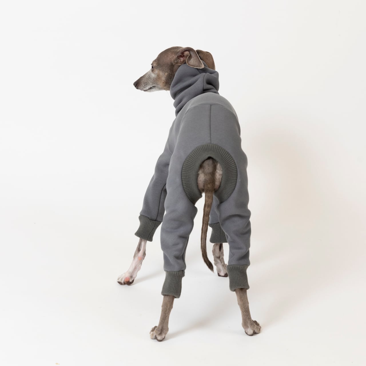 シルキーボンバーヒートロンパース gray / イタグレ服