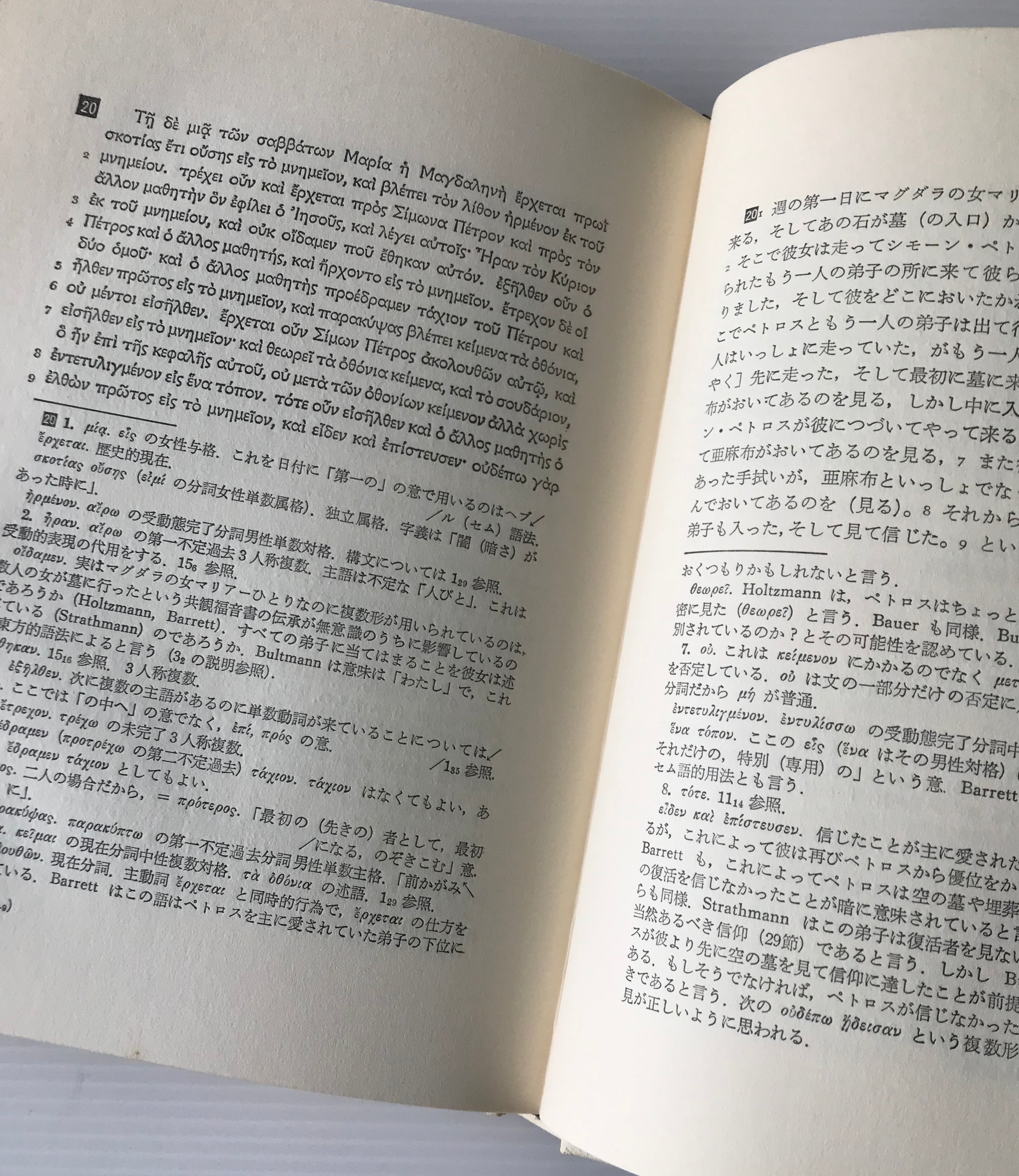 ヨハネ福音書 下巻 ＜希和対訳脚註つき新約聖書 ヨハネによる福音書 4β