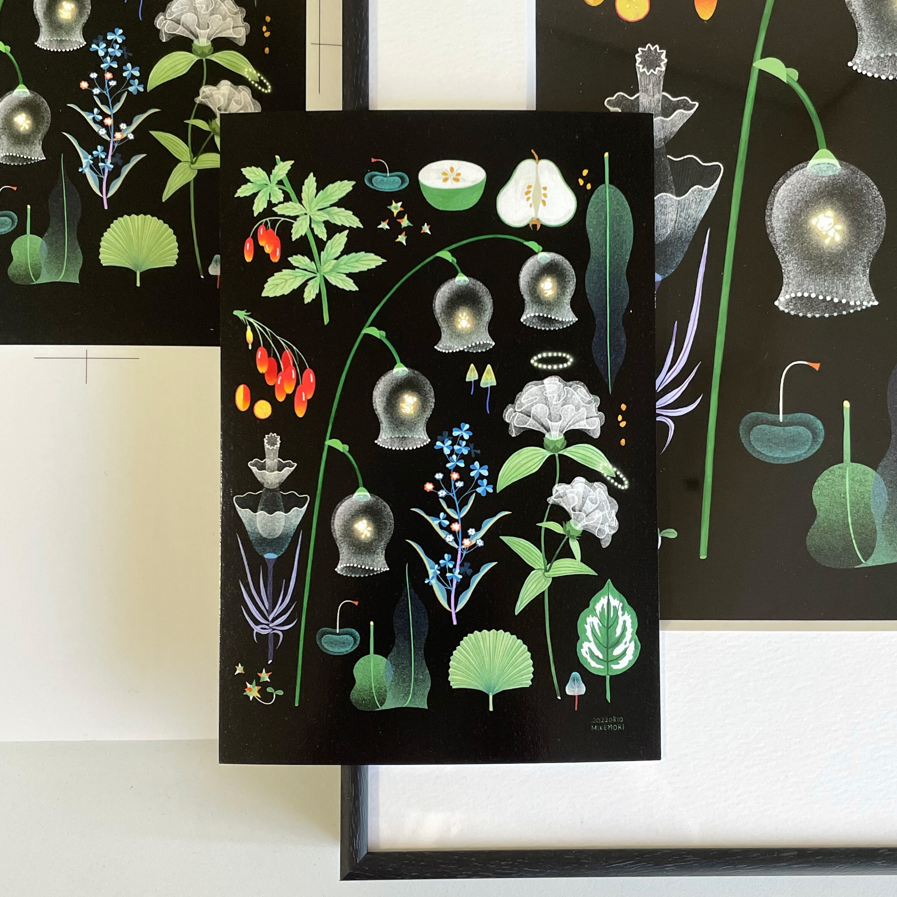 植物図鑑3 POSTCARD | MIKEMORI WEB SHOP