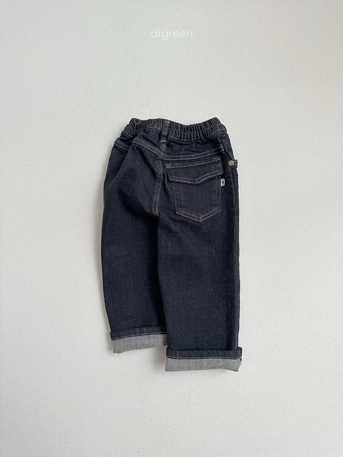 DIGREEN［取寄］scon denim pants 26autumn