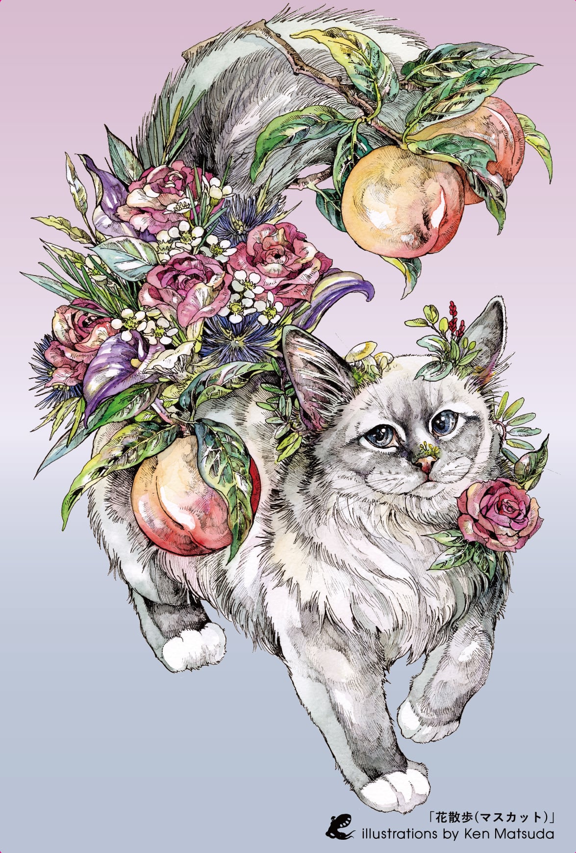 クリアポストカード | KEN MATSUDA ONLINE STORE