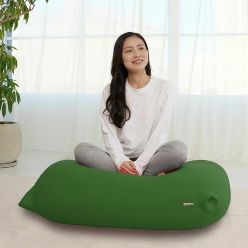 コストコ再販商品 PETIT ビーズクッション グリーン