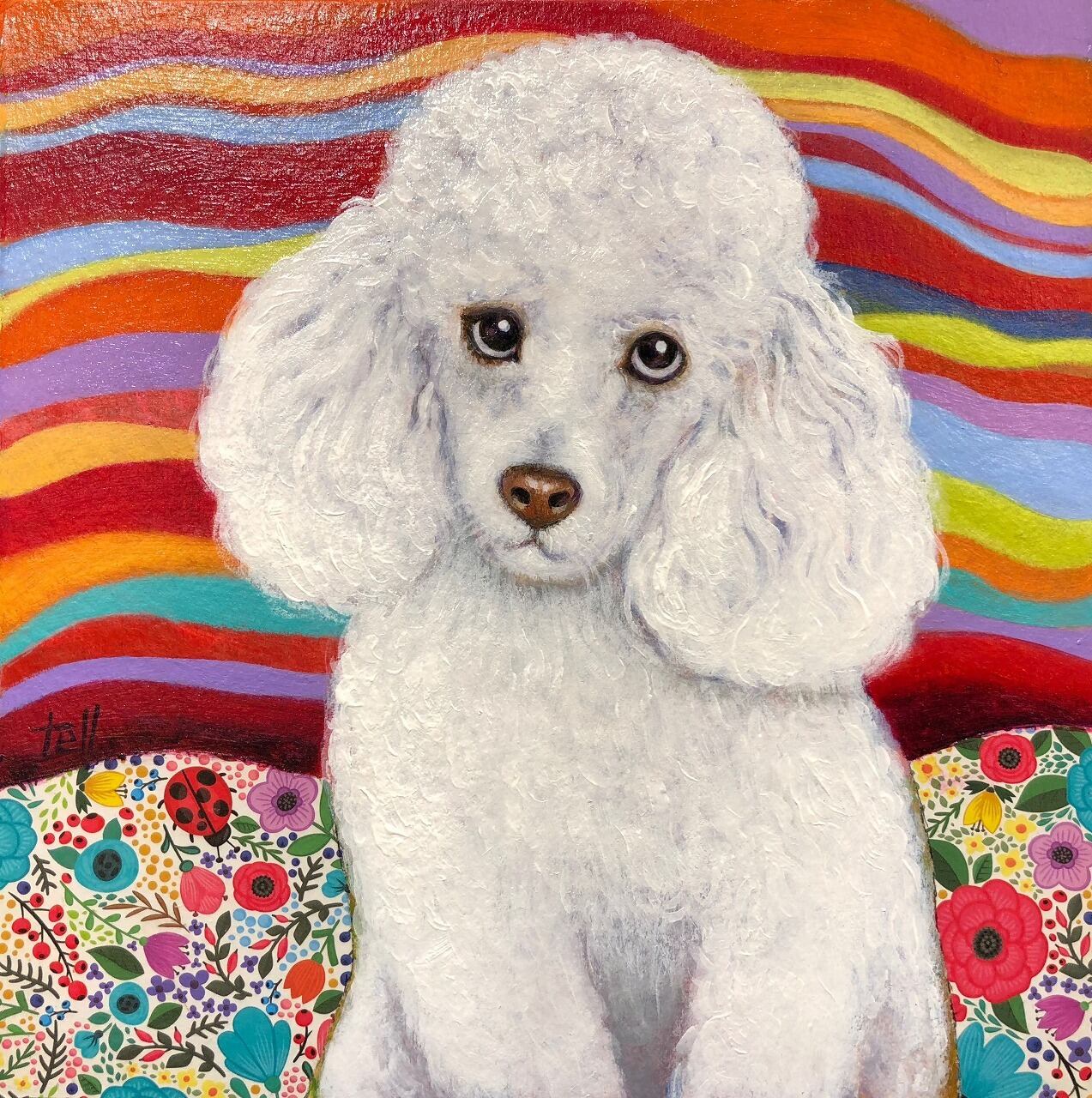 調子はいいよ!(プードル)