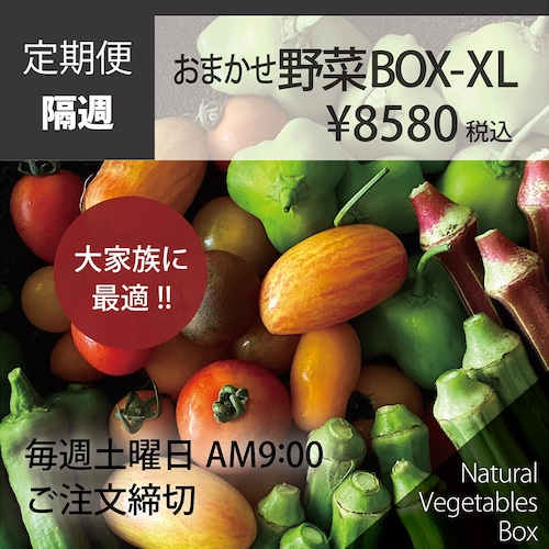 【隔週】おまかせ野菜BOX - XLサイズ