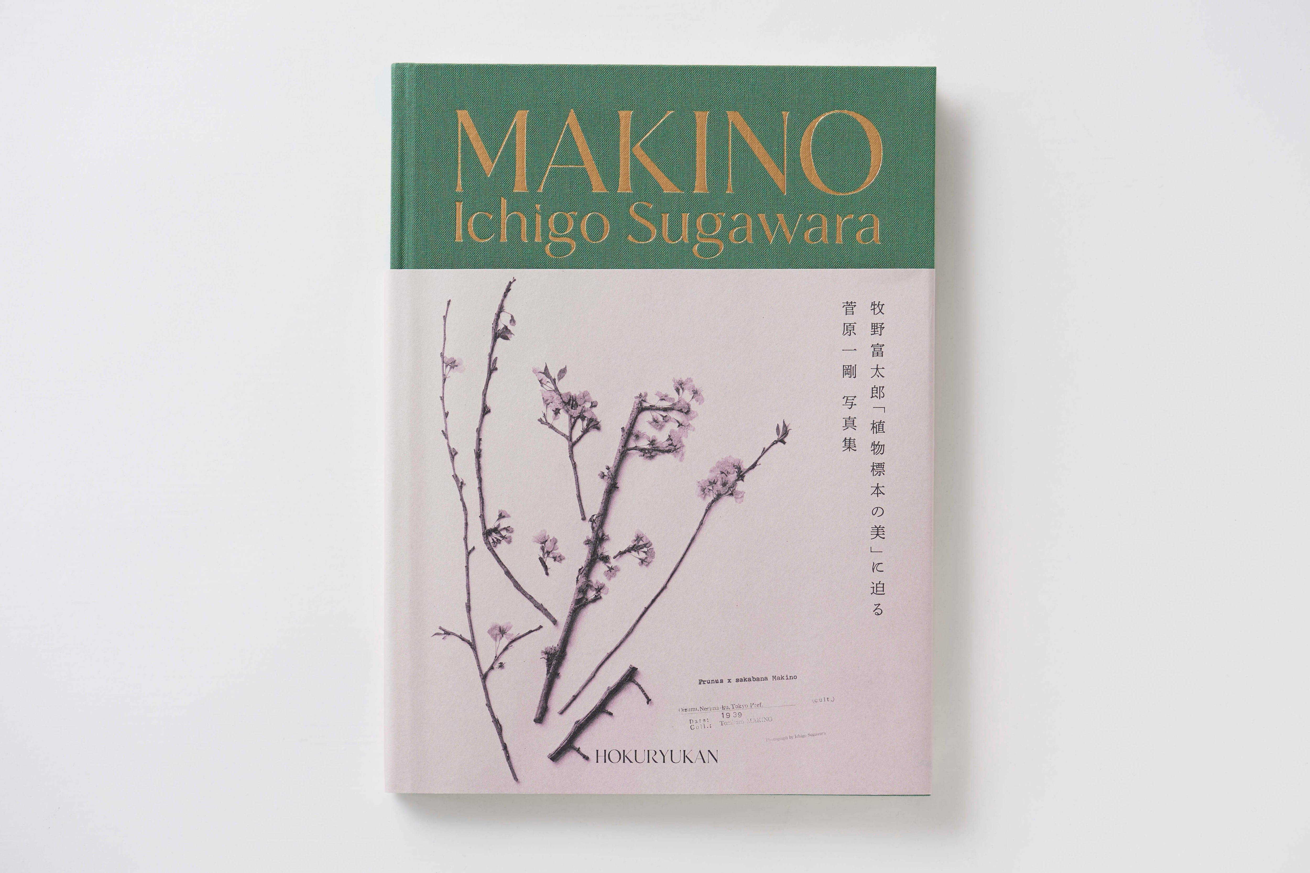 菅原一剛 写真集「MAKINO 植物の肖像」 | MAKINO Botanical Art Project