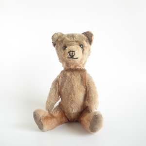 Teddy bear［A］