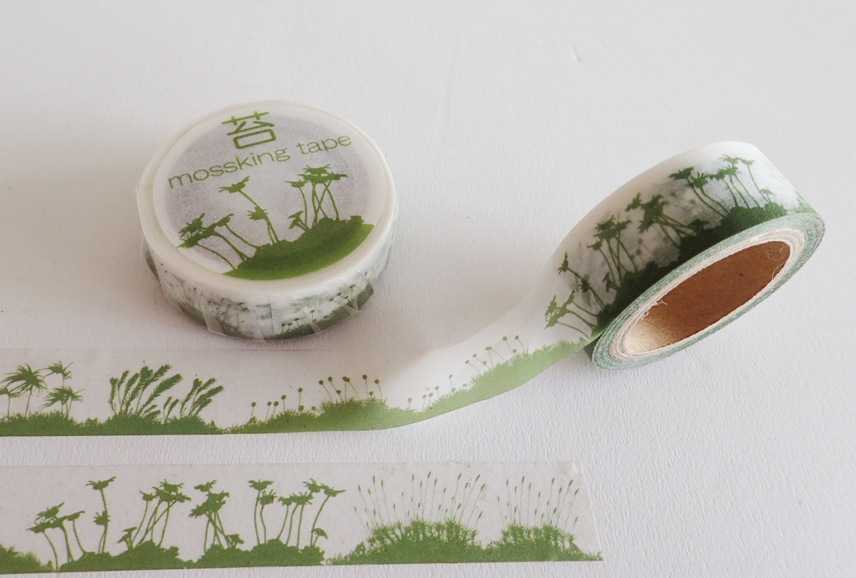 苔マスキングテープ mossking tape【デザイングッズ】 | 苔テラリウム専門ショップ道草