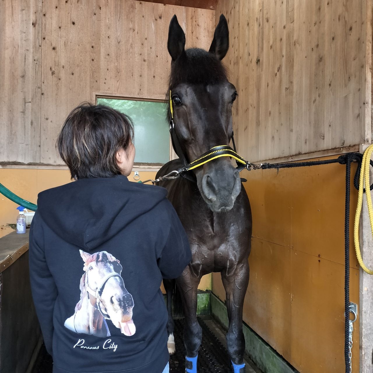 TCC x 馬Site TCCホース ジップアップパーカー　ハ～マ行