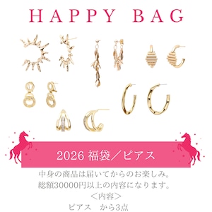 ピアス HAPPY BAG 福袋 2026