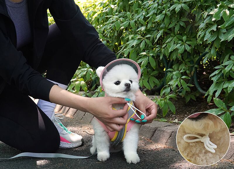 【SALE】 cool sun cap set S ~ 2XL 3color / 犬服 夏 新作 冷感 トップス タンクトップ 可愛い 犬の服 ドッグウェア  サンバイザー 暑さ対策 ワンコ服 UV対策 小型犬 中型犬 猫 top135