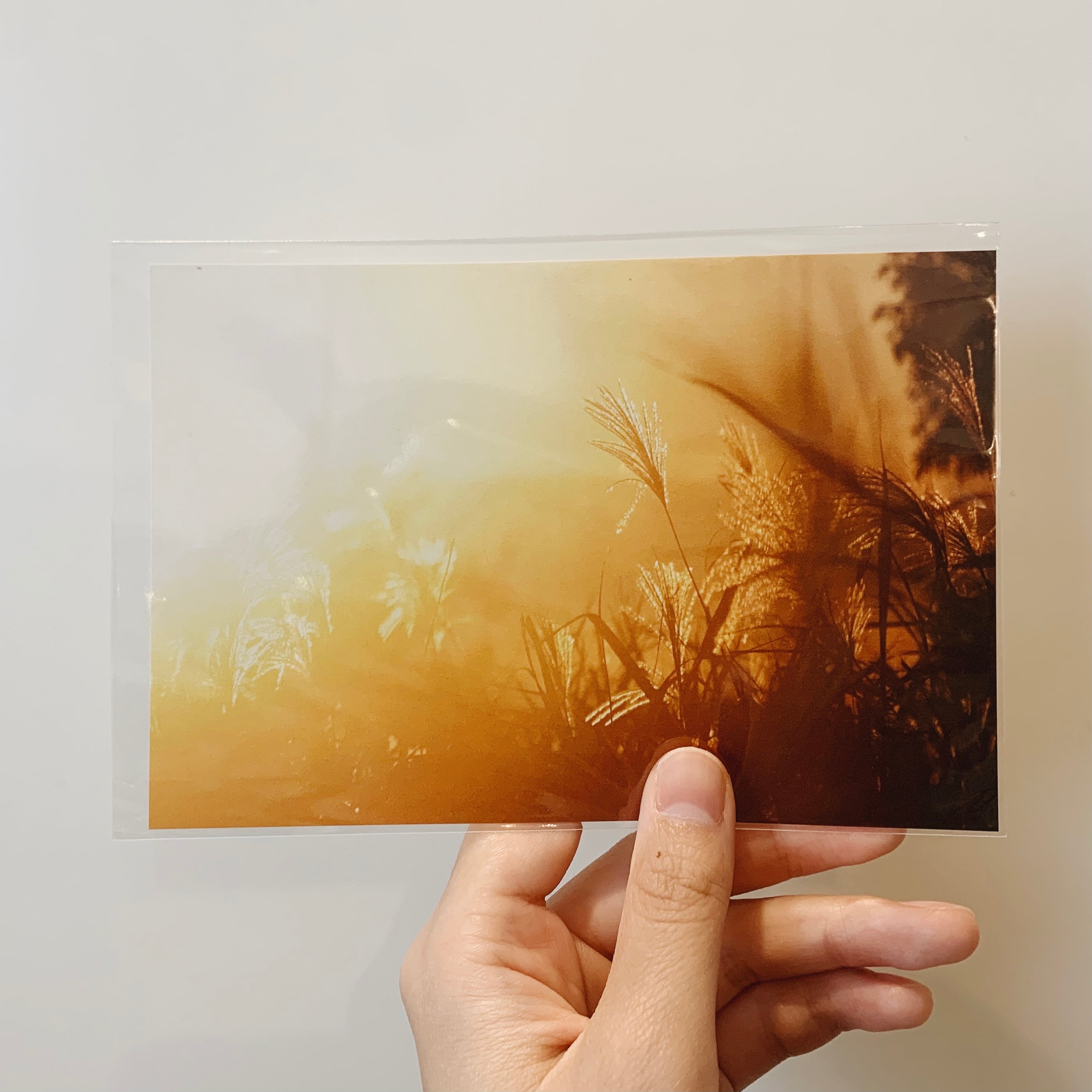 『歩いた記憶』オリジナルポストカード（全三種）