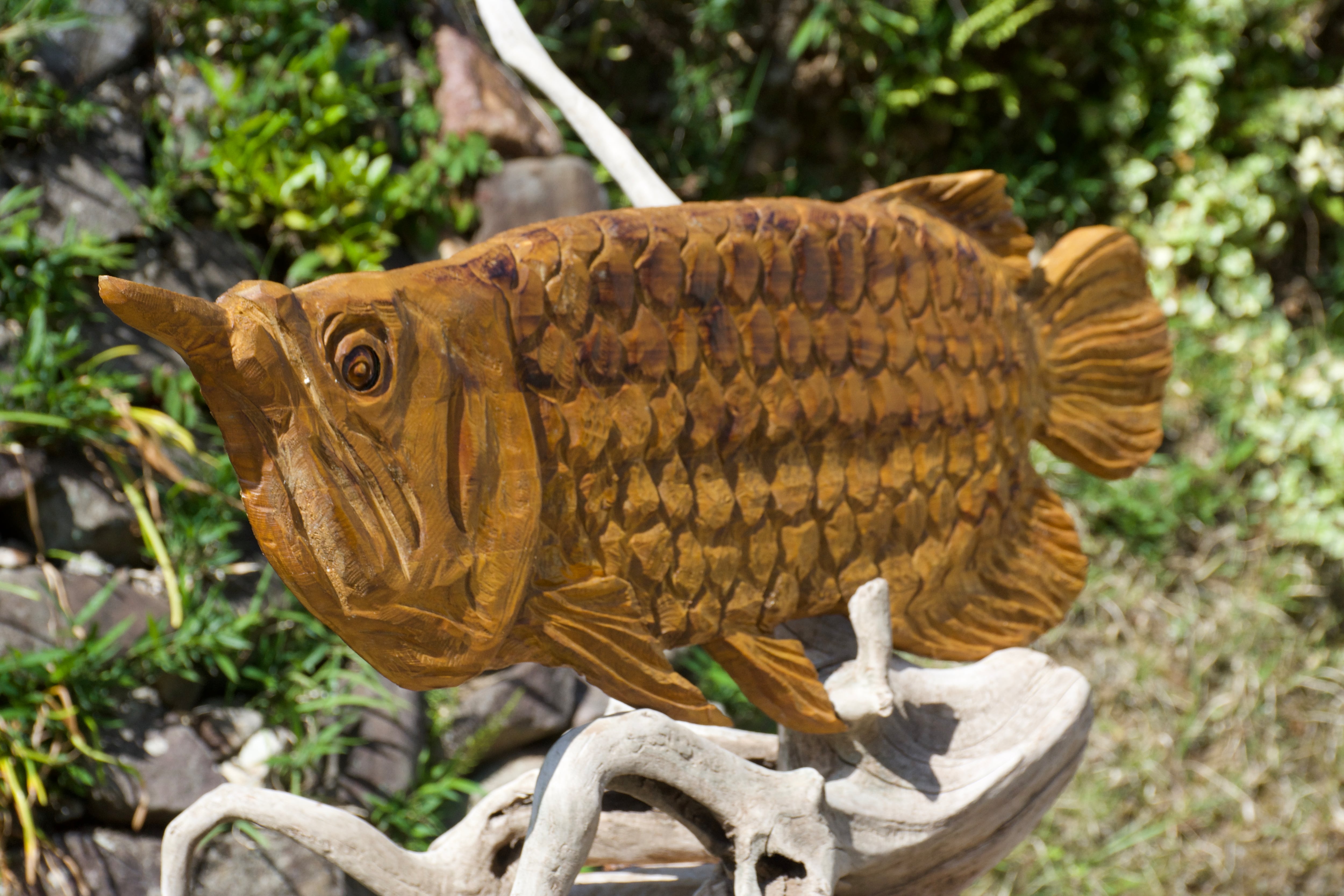 アロワナ 壁掛け チェーンソーアート彫刻作品 | チェンソーアート彫哲