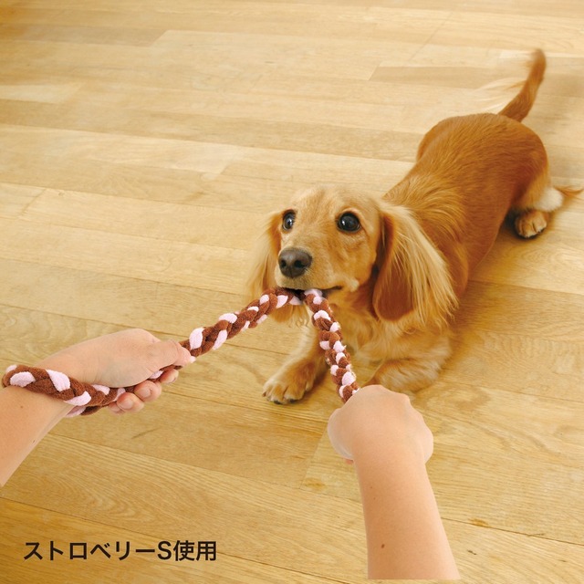 アドメイト (ADD. MATE) ロープTOY トイ チュロス シナモン Sサイズ