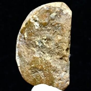 6) 北投石 (台湾産)