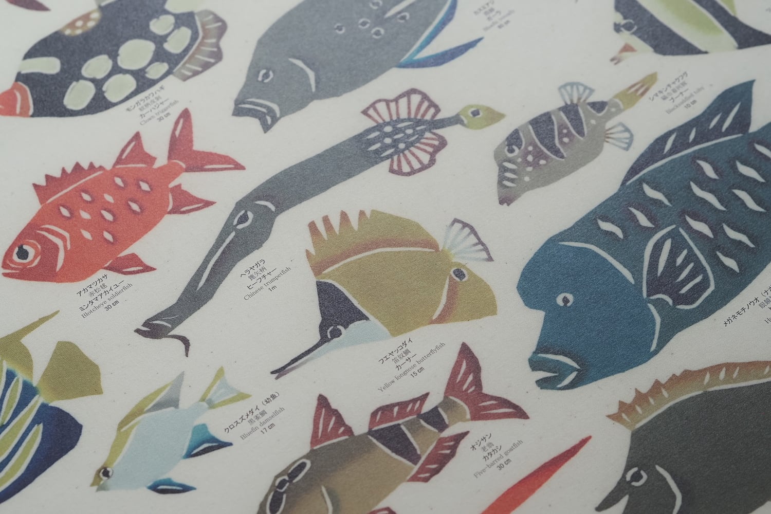 ポスター「琉球の魚」 紅型工房べにきち | heritage