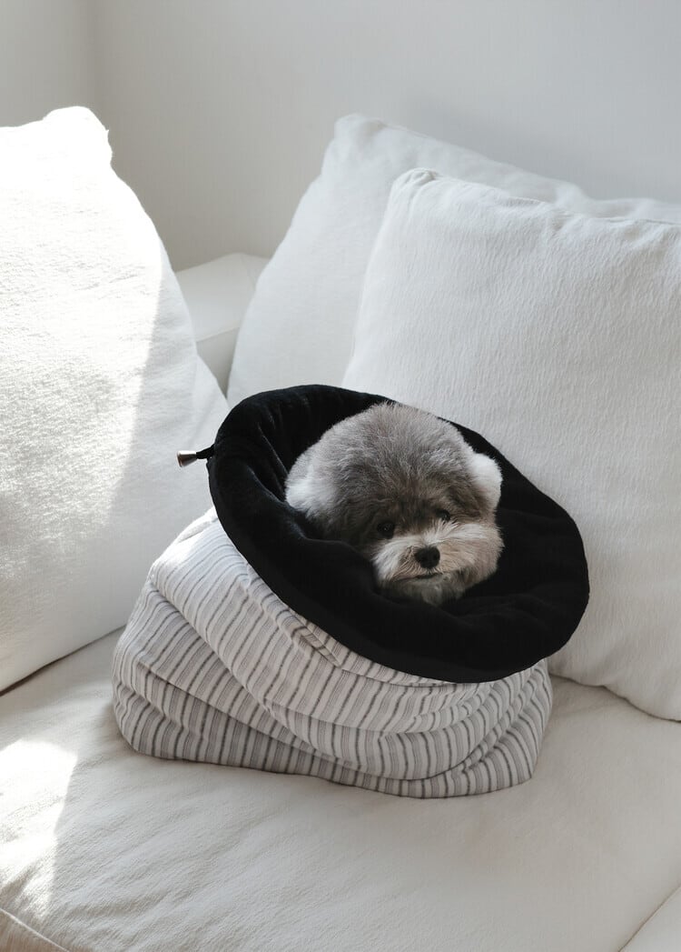 〈 予約アイテム 〉OHDIBS / Snuggle Room – Black