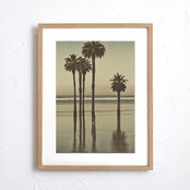 Silent Palm Reflection｜静かな海辺とヤシの木を描くヴィンテージフォトポスター｜海外リゾート感漂うモダンインテリアアート｜A4ポスター