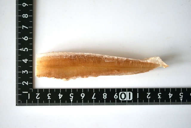 スペイン産バイカラーセレナイト Selenite  1077