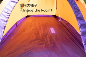 ビンテージテント Mountain hardwear Expedition wedge