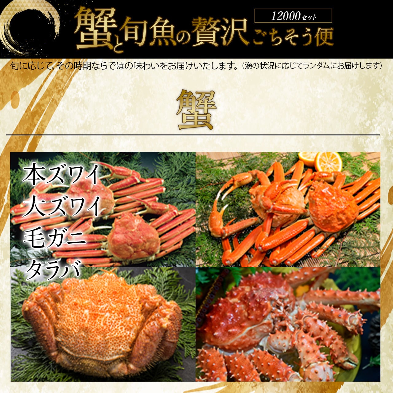 440acf740d49530f4e4735478d02fa