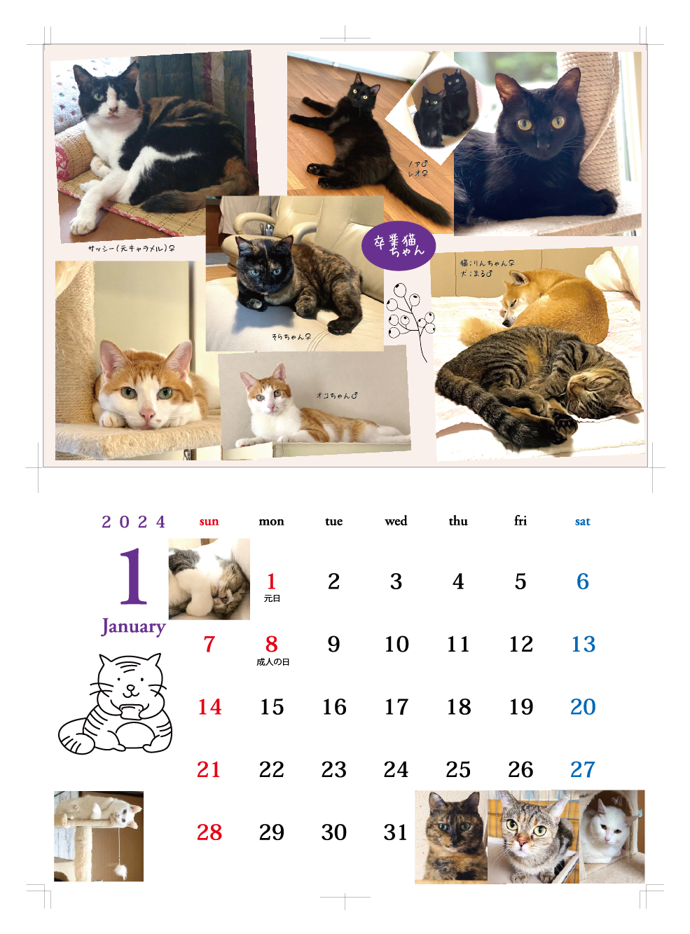 DRAEGER PARIS ネコ CATS 2024 カレンダーねこ 猫 AE SNSで大人気 ネコ