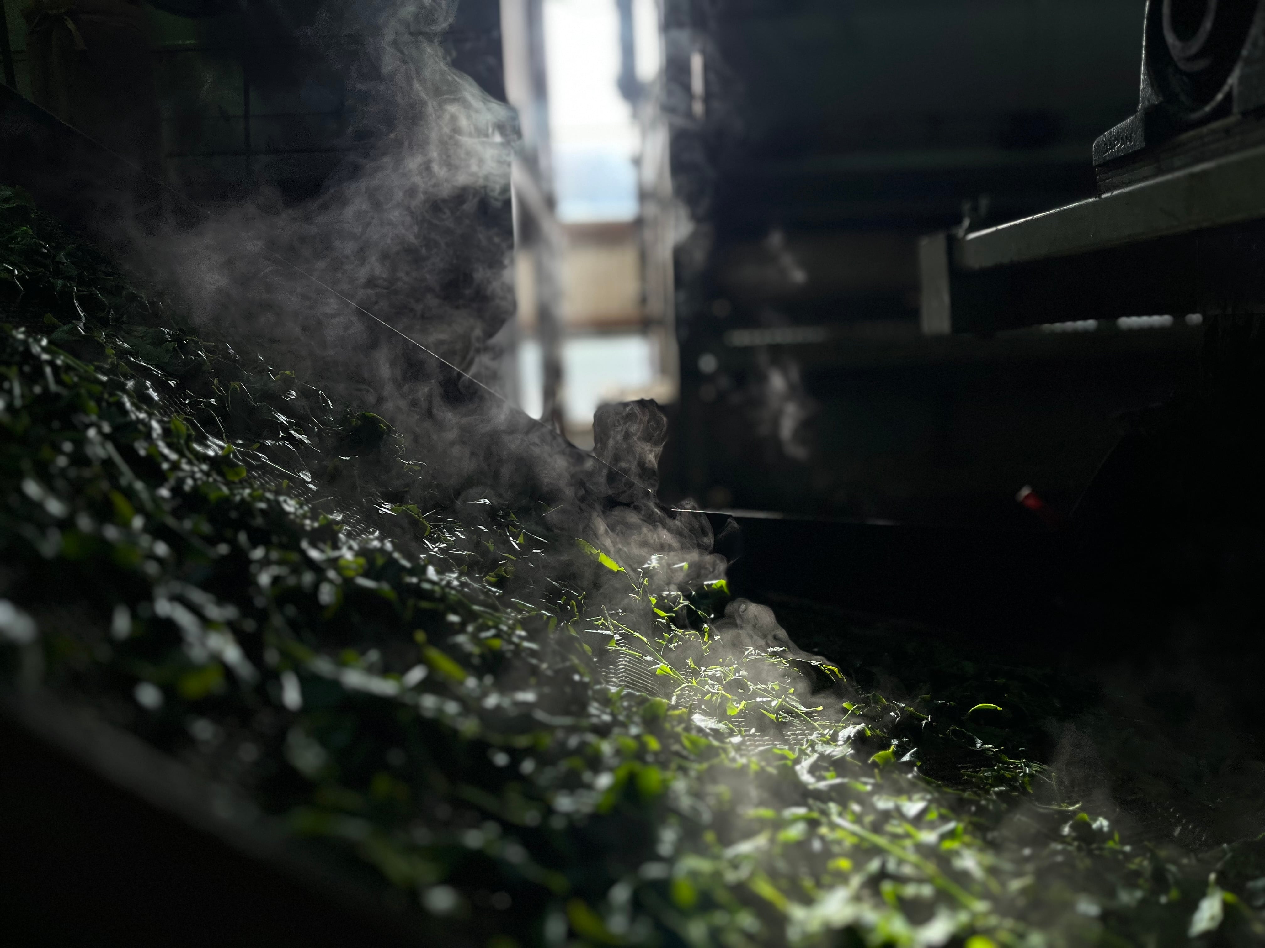 高級新茶-2025-【TEABAG】 | 茶屋二郎 / Chaya-jiro