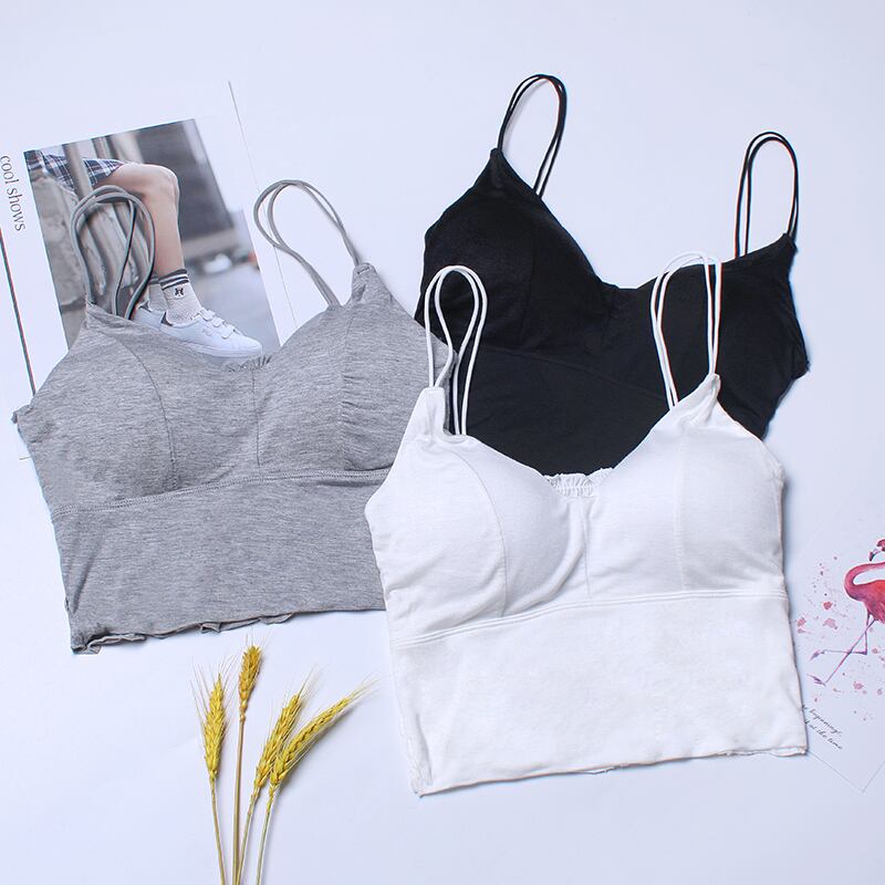 カラーレディースサマートップス 夏物 ラブタオタオダレンハウス4220368314