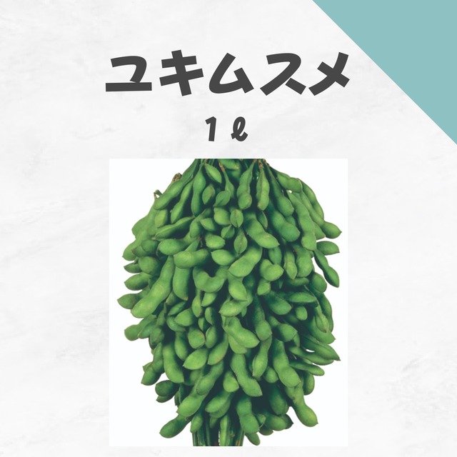 ユキムスメ　エダマメ種子・1L
