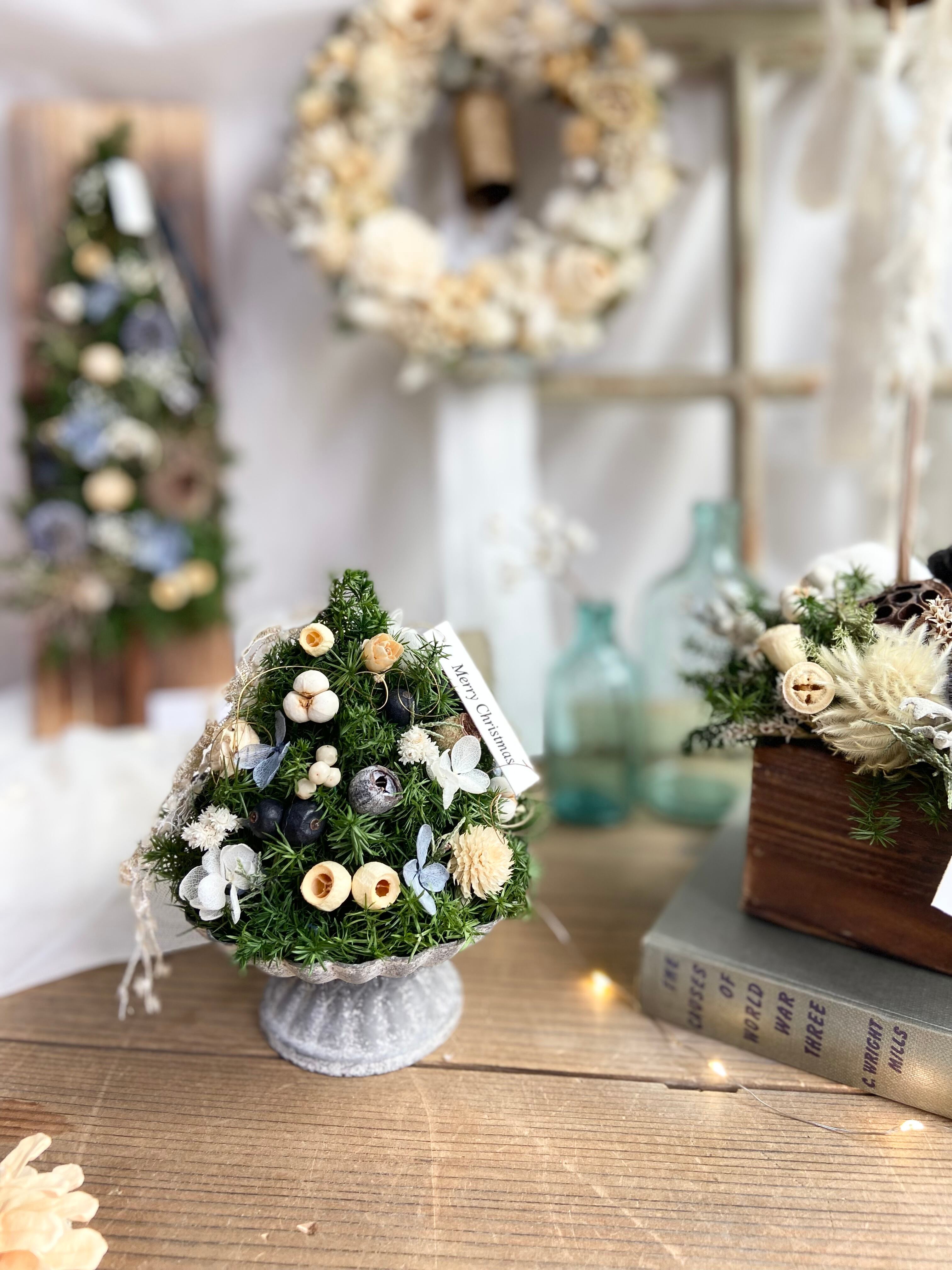 手のひらの中の小さなクリスマスツリー | Pay ID 手のひらの中の小さなクリスマスツリー | Pay ID