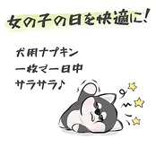 WICKEDPUP 犬用おむつライナー、100枚入 | 男の子のマナーベルトパッド | 女の子の生理用ナプキン | ペット用おしっこ吸収シート、Lサイズ