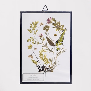 Botanical Frame S33 - Black