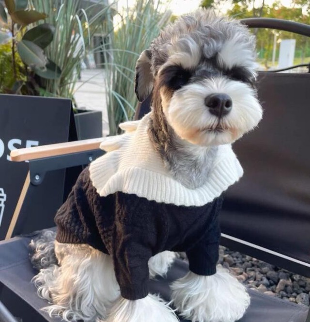 《予約》1102056 ダッフルニットセーター