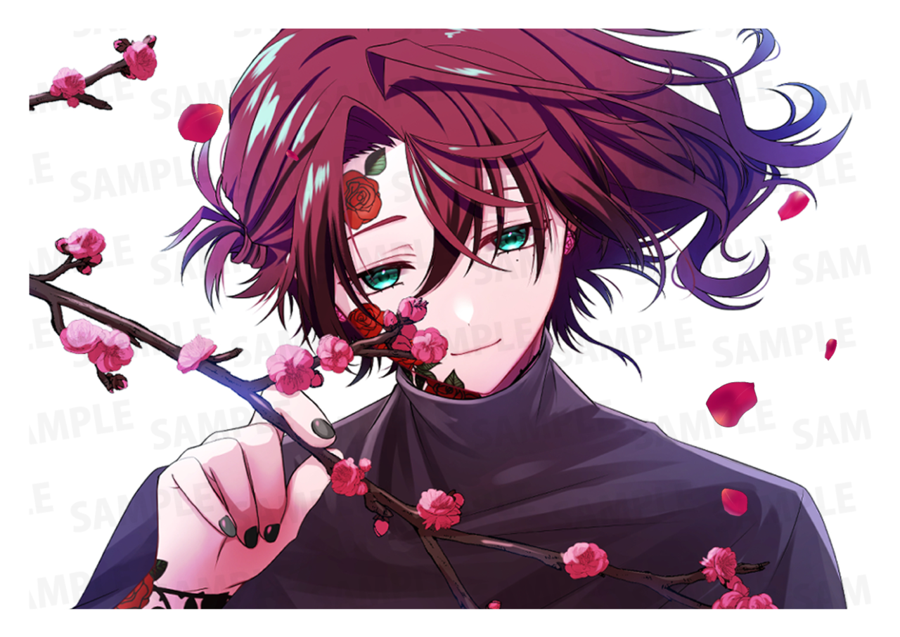 【3/21~3/31販売】【強欲プラン】バーチャル物産展 祝い酒紀州うめ×白ワイン【第2陣】