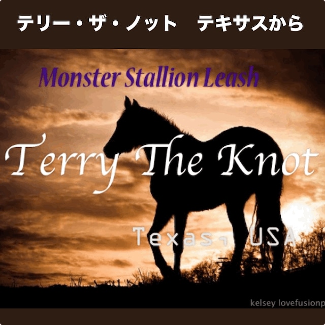 本格派の超大型用のリード (Terry The Knot )