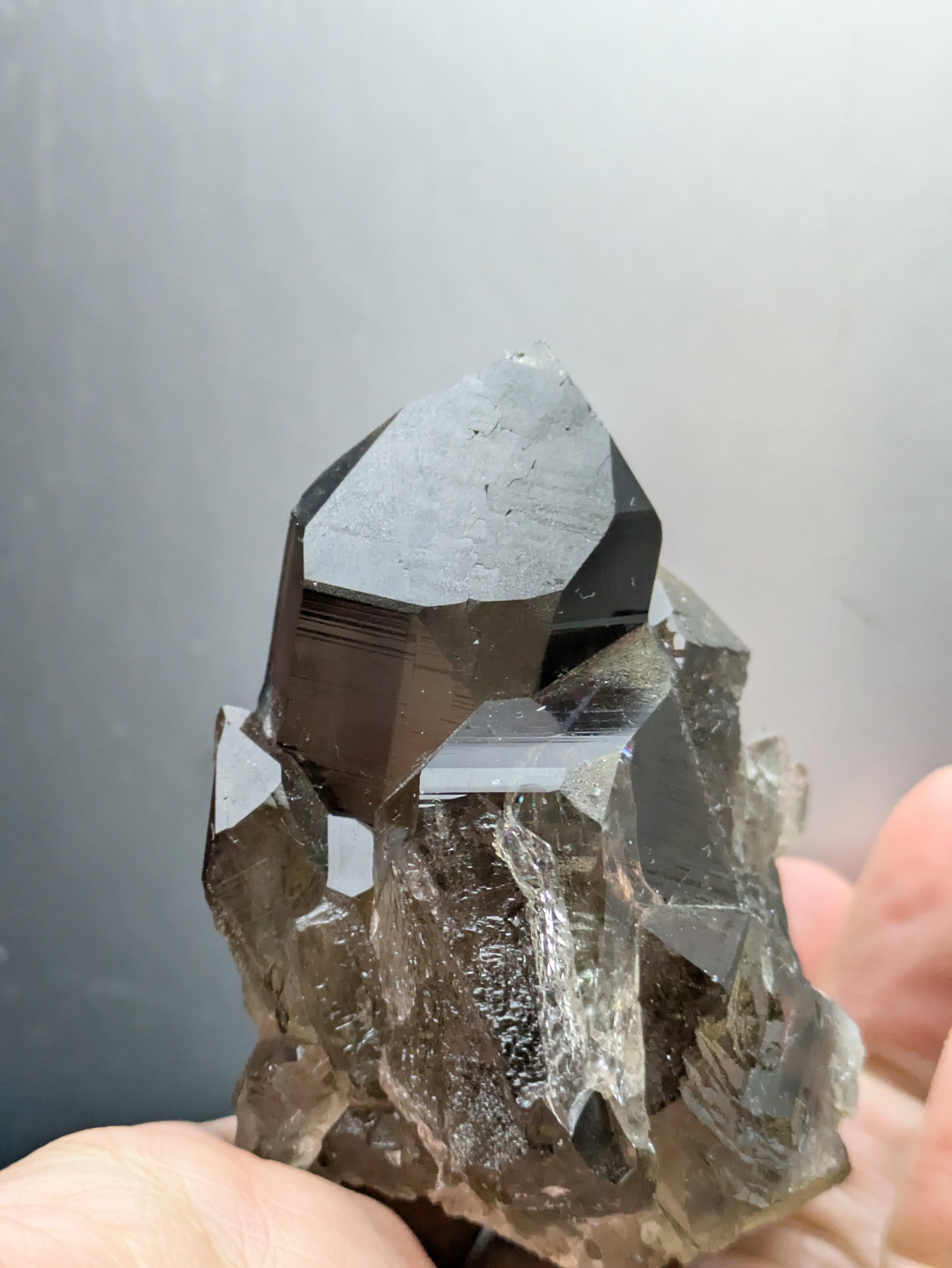 原石 スモーキークォーツ 煙水晶 標本 スイス産高級 石処 ⌂[原石
