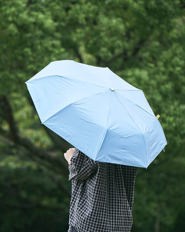 春の訪れ　三つ折り自動傘　［sam069］