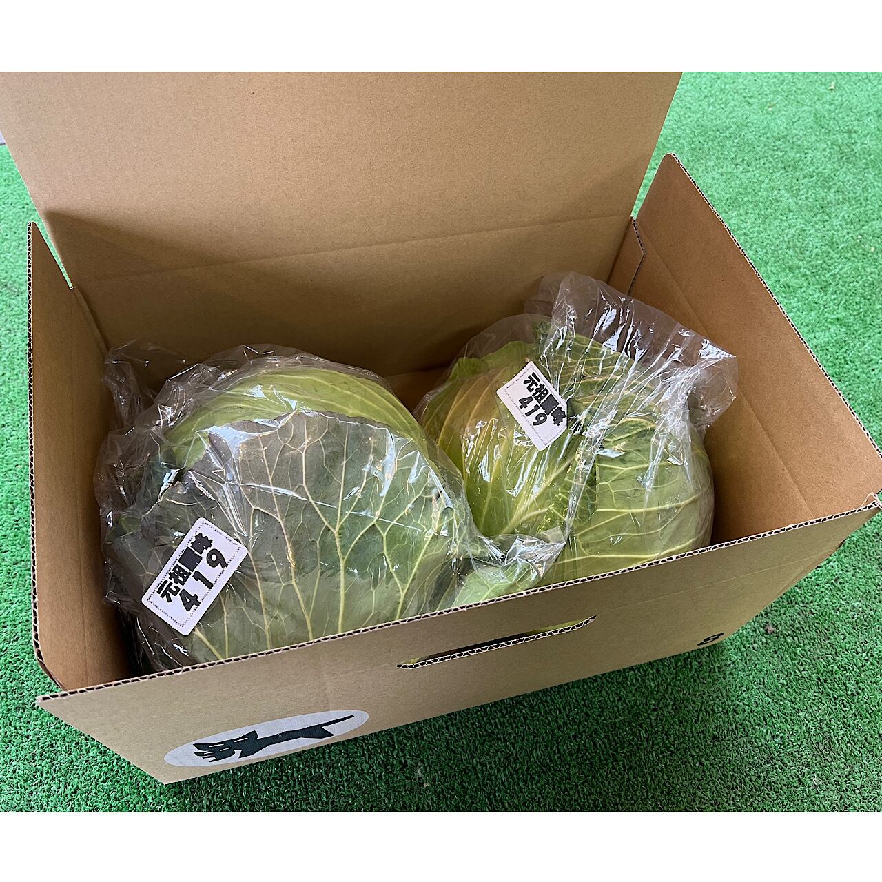 元祖-麗峰419キャベツ 2個入り | Pay ID