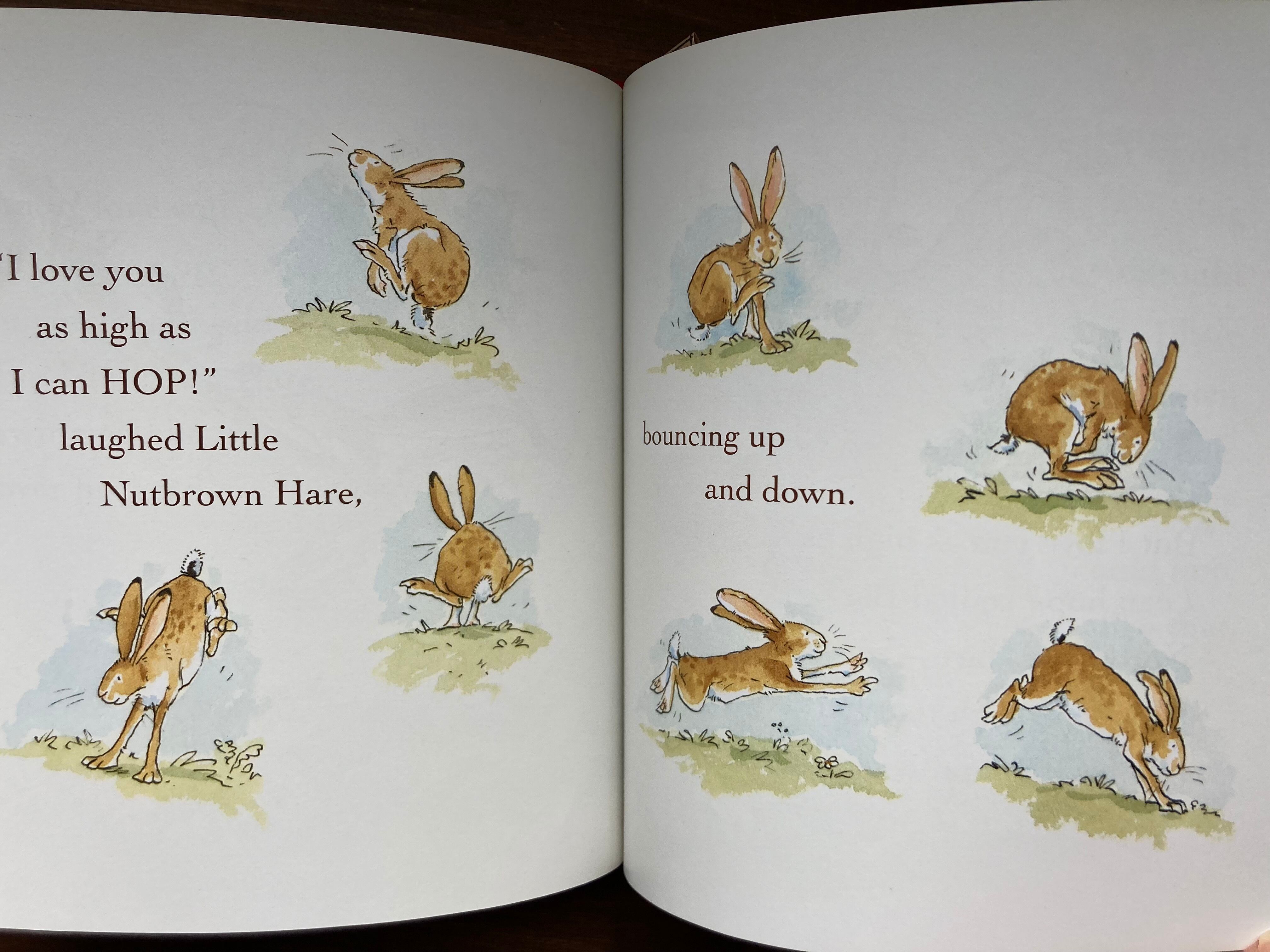 Guess How Much I Love You(布装丁)