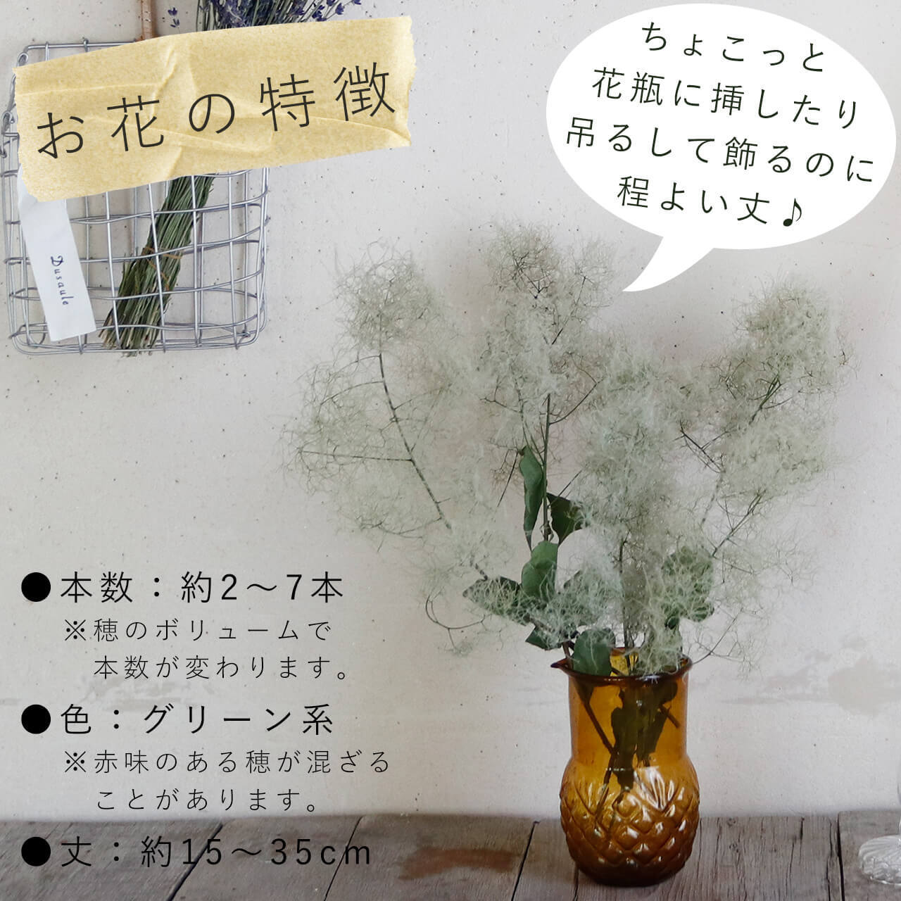 状態変化あるため出品しなおします！スモークツリー　ドライフラワー　枝物　ヘッド大 ドライフラワー】スモークツリー グリーン 系 ＊ インテリア