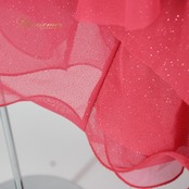 社交ダンス 衣装 スタンダード ドレス ワンピース パーティ衣装 女性用 レディース オールシーズン ラインストーン ビジュー ピンク系 長袖 派手 鮮やか シルエット ふんわり 広がり 二重スカート 光 ラインストーン おしゃれ 発表会 ダンスシューズ